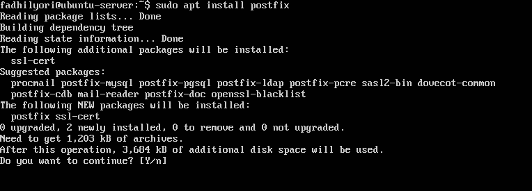 Install postfix