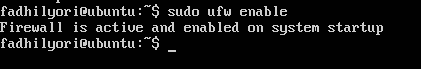 Enable ufw service
