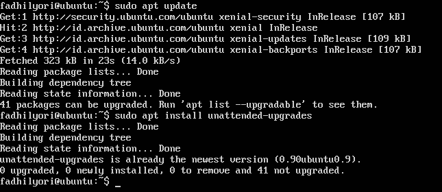 Install unattended upgrade