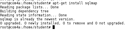 sqlmap.png